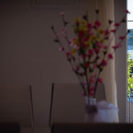 Apartments Nakic Sibenik Ngoại thất bức ảnh
